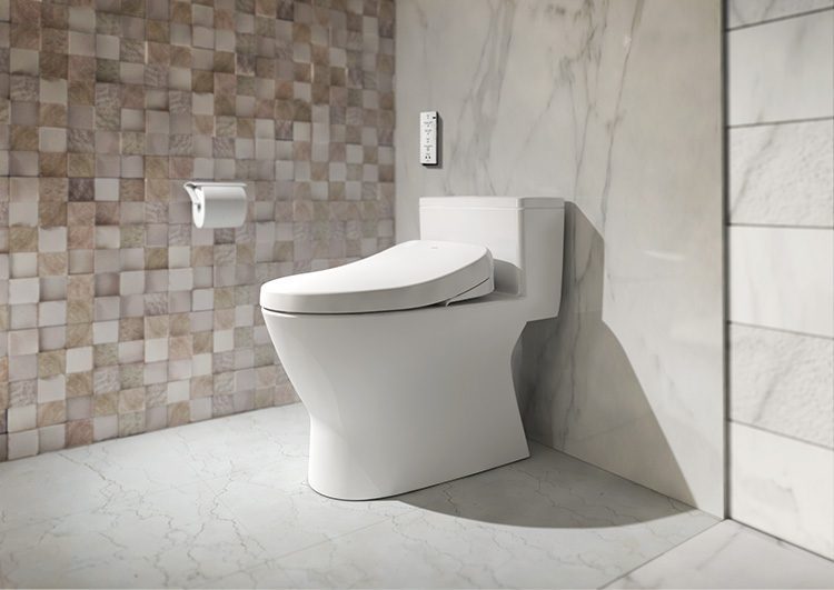 So sánh nắp rửa cơ Ecowasher và nắp rửa điện tử Washlet	