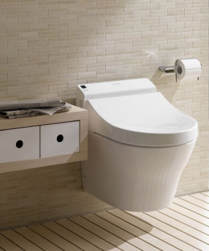 Phân biệt các loại bồn cầu trên thị trường hiện nay	
