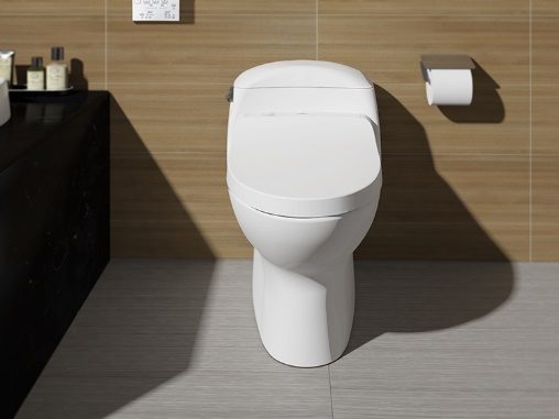 Các tiêu chí làm nên mức giá của nắp đậy bàn cầu Washlet và Ecowasher	