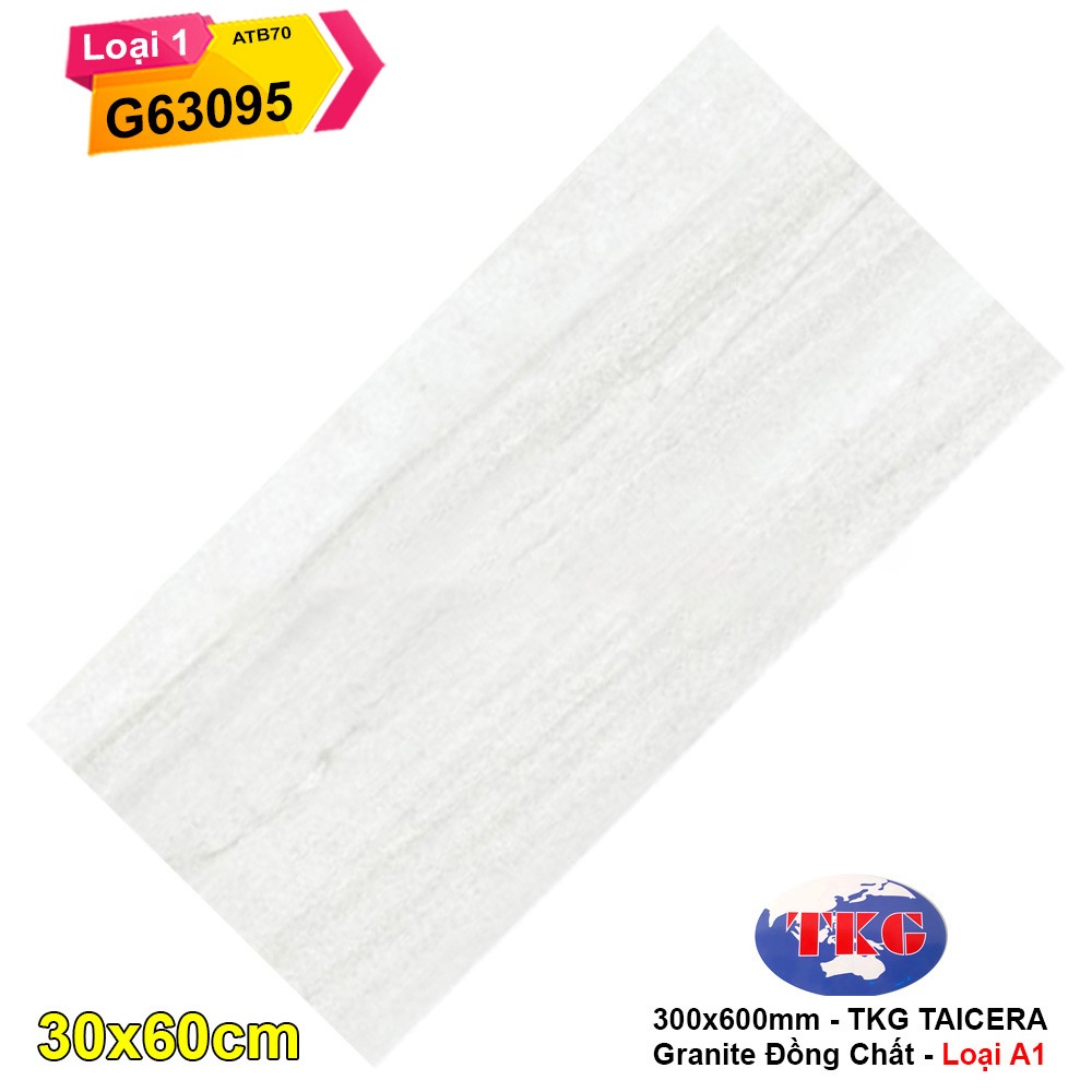 Gạch 30x60 Taicera TKG G63095