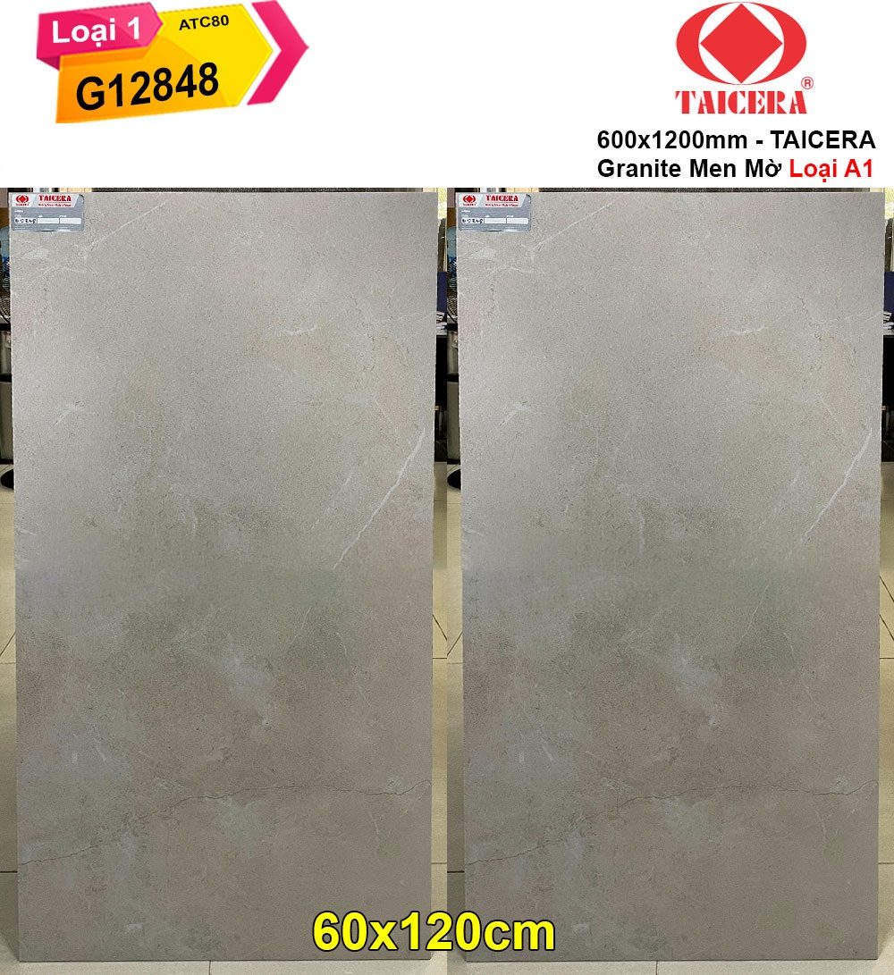 Gạch 60x120 Taicera G12848