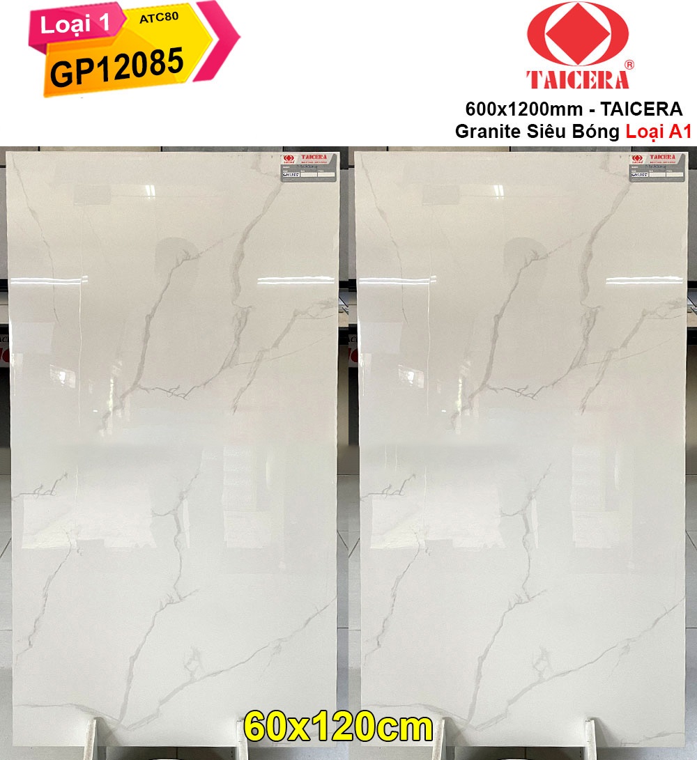 Gạch 60x120 Taicera GP12085