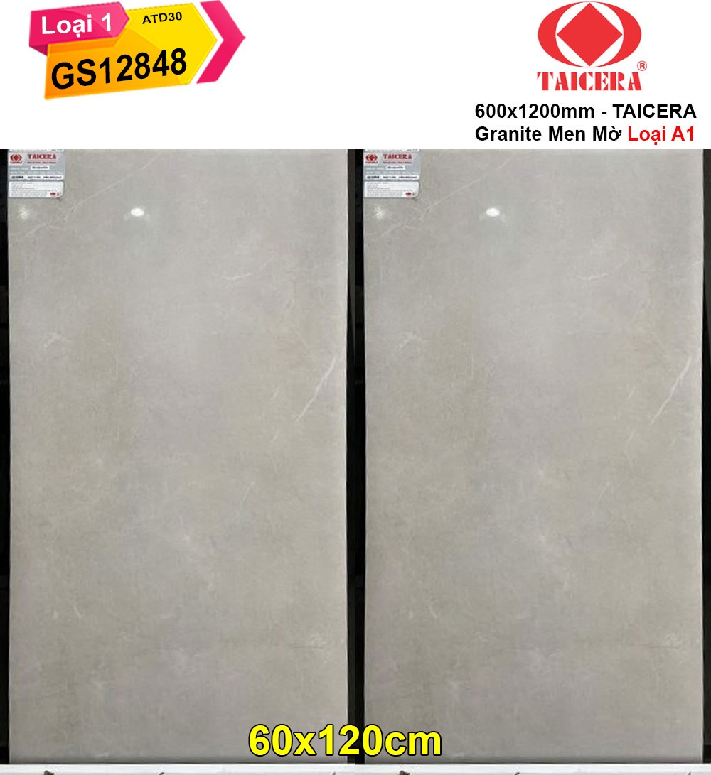 Gạch 60x120 Taicera GS12848