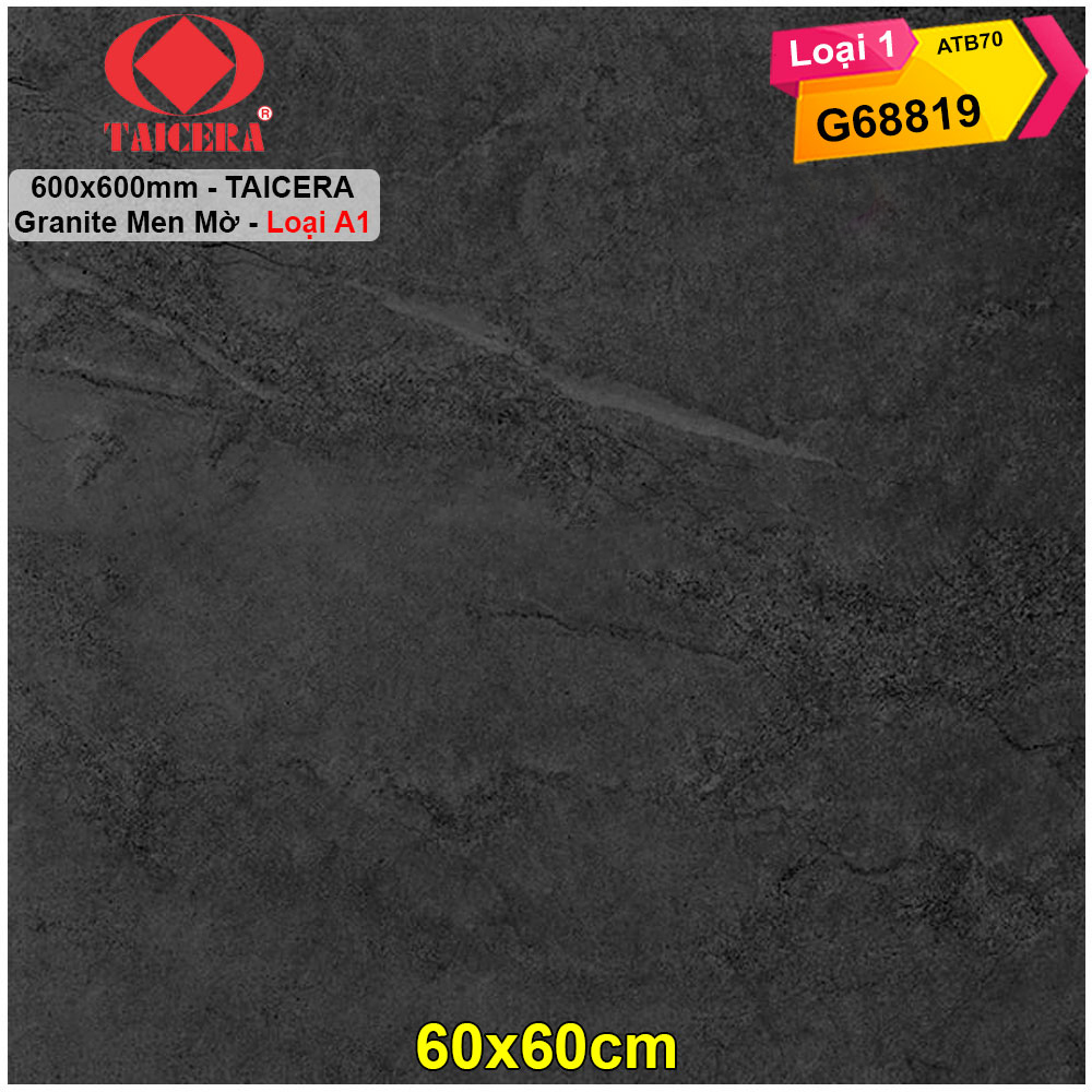 Gạch 60x60 Taicera G68819