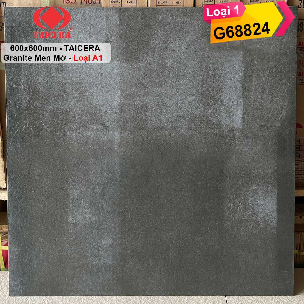 Gạch 60x60 Taicera G68824