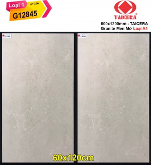 Gạch 60x120 Taicera G12845