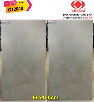 Gạch 60x120 Taicera G12848