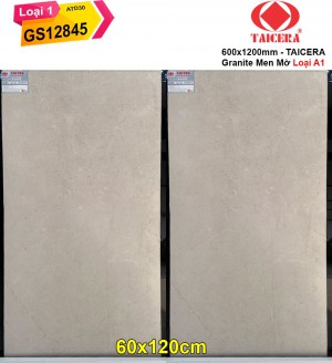 Gạch 60x120 Taicera GS12845