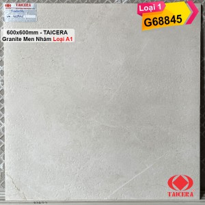 Gạch 60x60 Taicera G68845