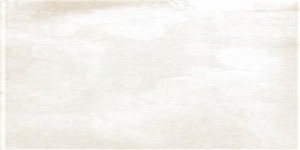 Gạch Lát Nền Taicera GC600x299-822