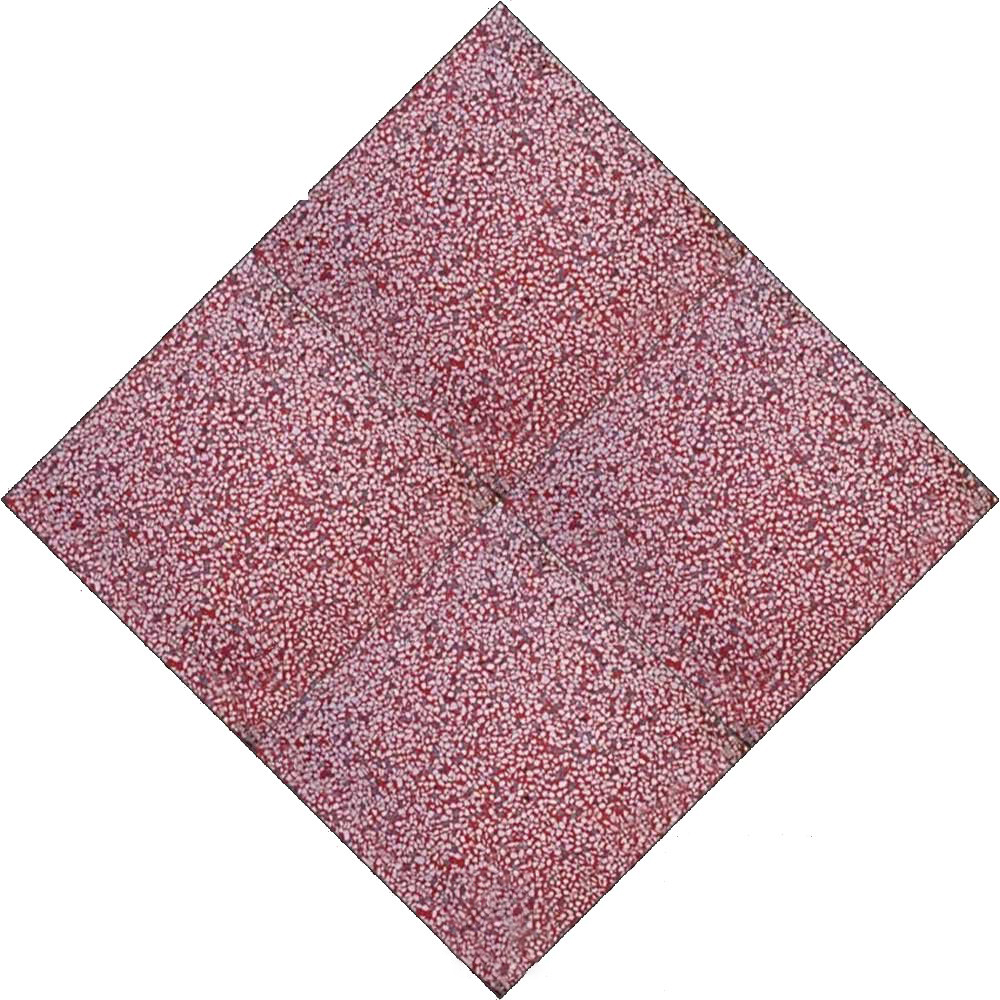 Gạch TERRAZZO Mài Đỏ