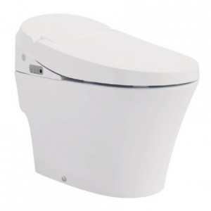Bồn Cầu Thông Minh Viglacera V91
