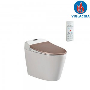 Bồn cầu Thông Minh Viglacera V93.GW 