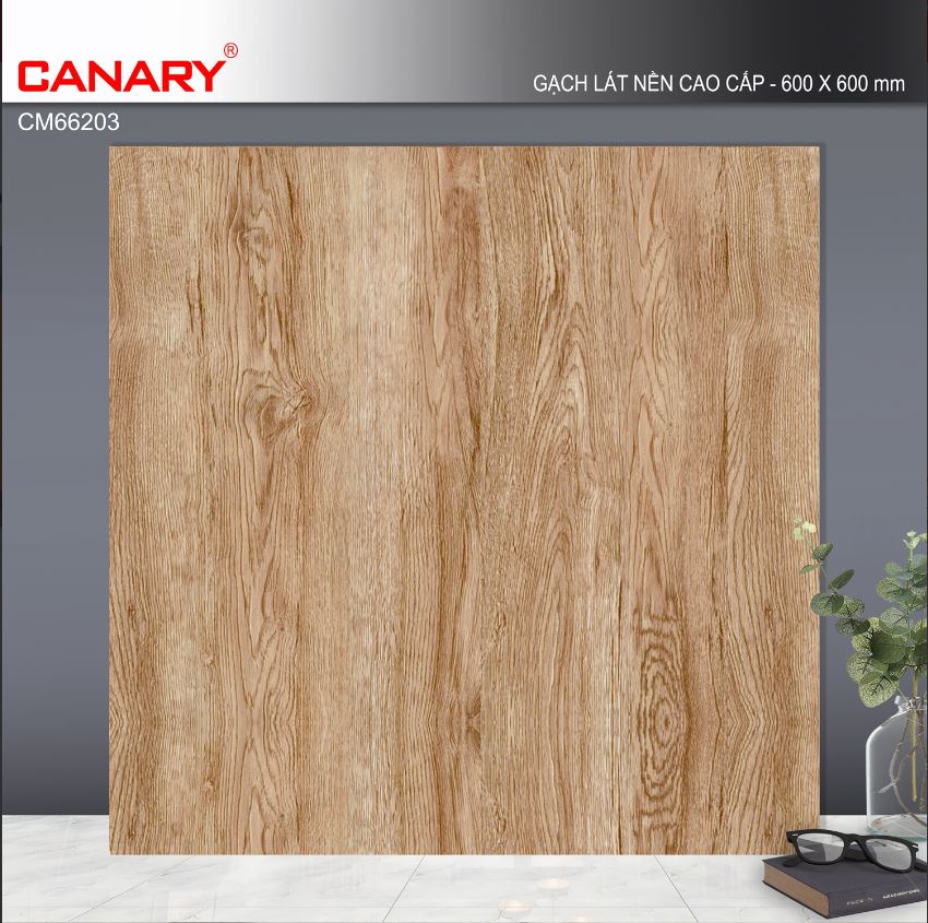 Gạch 60x60 TTC Canary CM66203