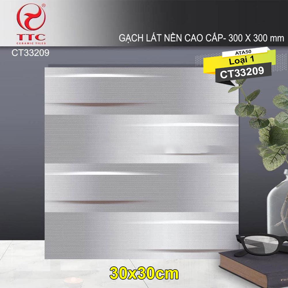 Gạch Lát 30x30 TTC CT33209