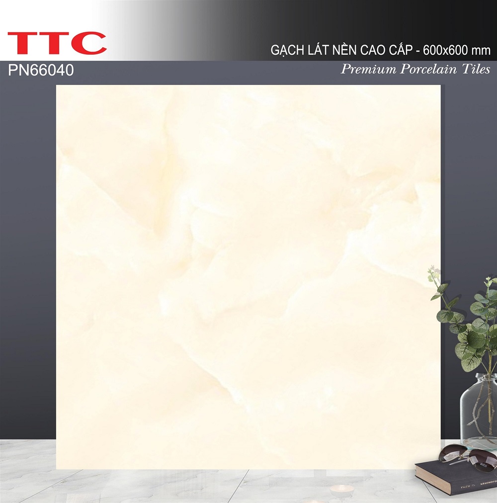 Gạch lát nền 60x60 TTC PN66040