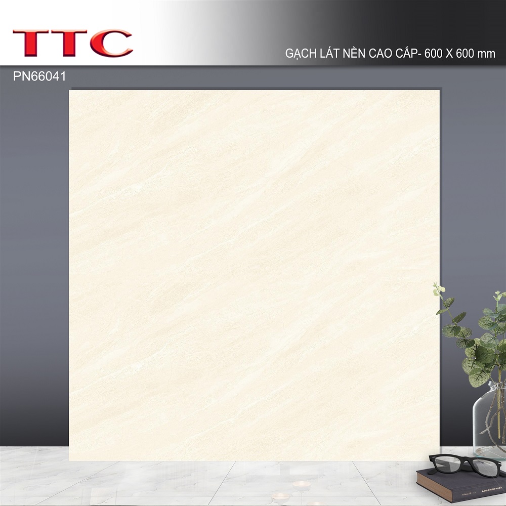 Gạch lát nền 60x60 TTC PN66041