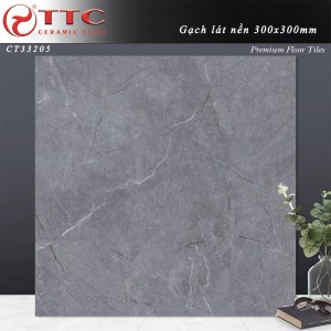 Gạch Lát 30x30 TTC CT33205