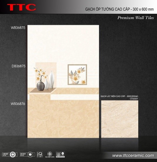 Gạch ốp tường 30x60 TTC WB36875-76