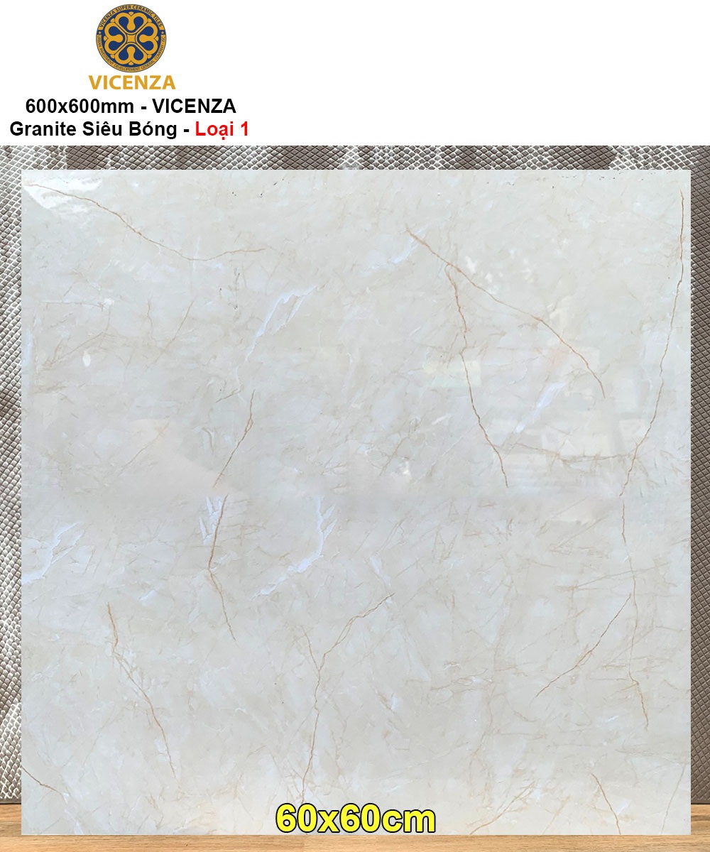 Gạch 60x60 Vicenza ML6891