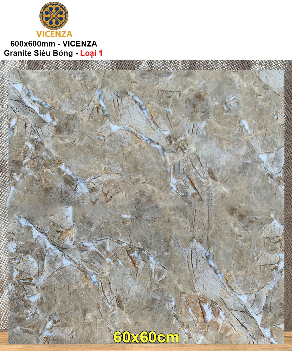 Gạch 60x60 Vicenza ML6991