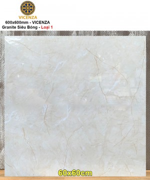 Gạch 60x60 Vicenza ML6891