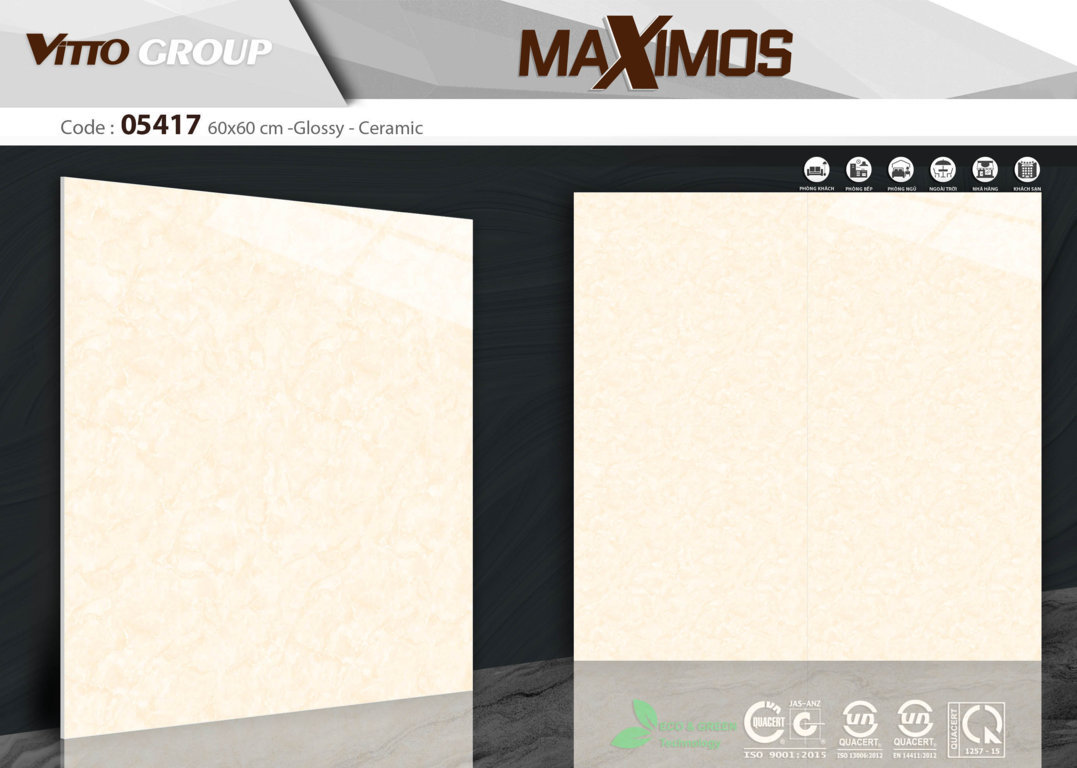 Gạch ốp lát 60x60 Vitto 05417