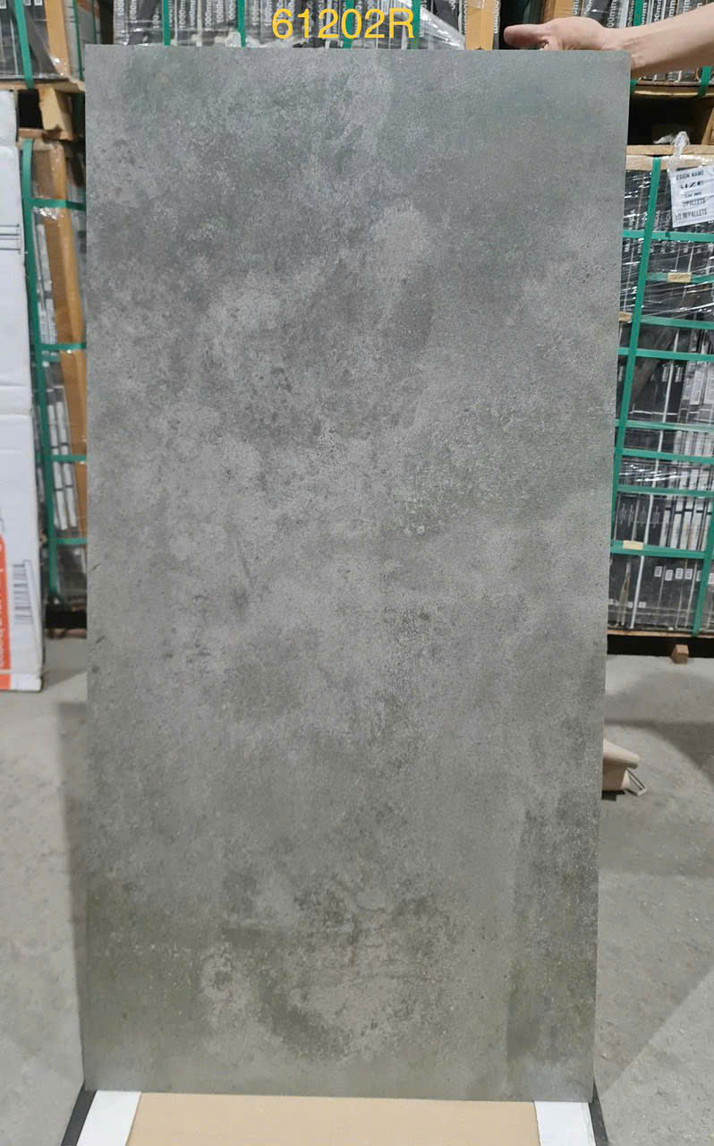 Gạch ốp lát 60x120 Vitto 61202R