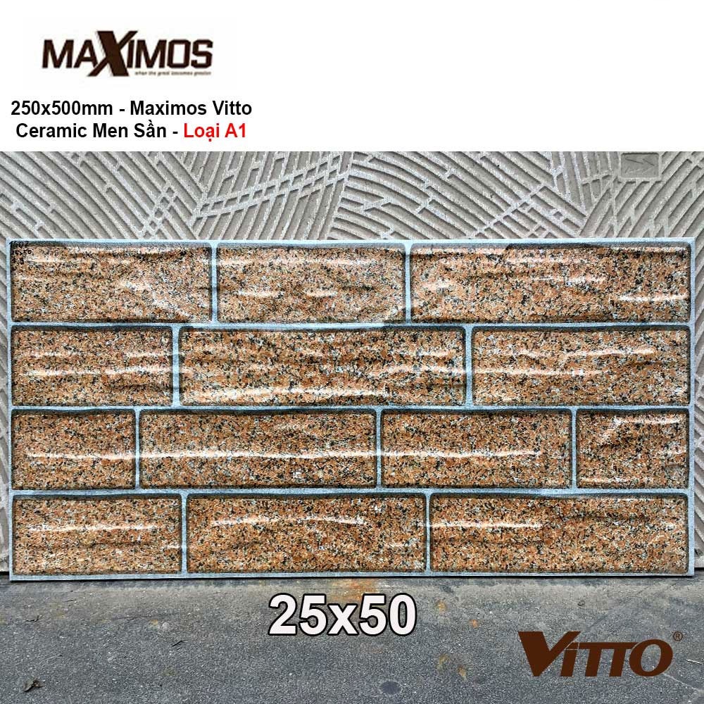 Gạch 25x50 VITTO Maximos 1402