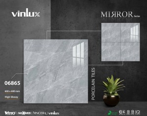 Gạch ốp lát 60x60 Vitto 06865