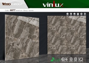Gạch ốp lát 60x60 VItto 06877