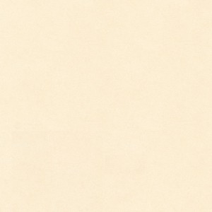 Gạch Lát Nền Vitto 0830 80x80cm