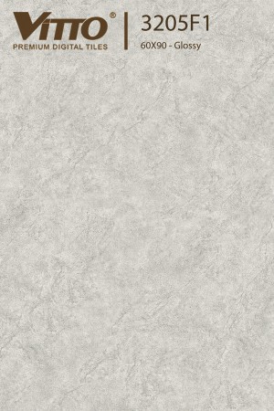 Gạch Lát Nền Vitto 3205 F1 60x90cm